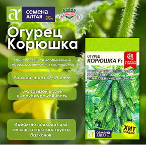 Огурец Корюшка/ Семена Алтая 5 шт.!