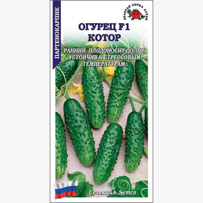 Огурец Котор/ Сотка 5шт