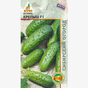 огурец Крепыш F1