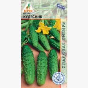 Огурец Кудесник 10шт*, Россия, Селекция Агрос/ Агрос