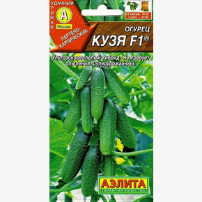 огурец Кузя /АЭЛИТА
