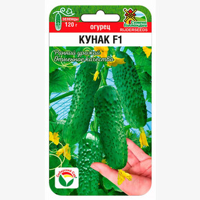 Огурец Кунак F1 5шт Сиб Сад