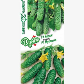 Огурец Кураж+Мурашка/ Гавриш