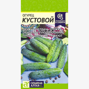 Огурец Кустовой/ Семена Алтая 0,5 гр.
