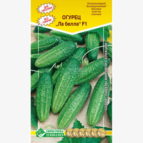 Огурец Ла Белла F1/ Евросемена