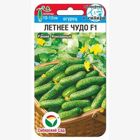 Огурец Летнее чудо 5шт/ Сибсад