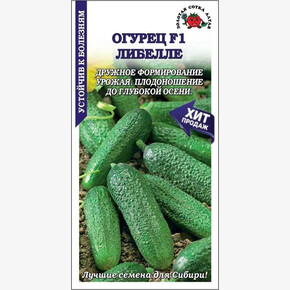 Огурец Либелле/ Сотка