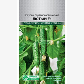 Огурец ЛЮТЫЙ 5 шт/ Евросемена