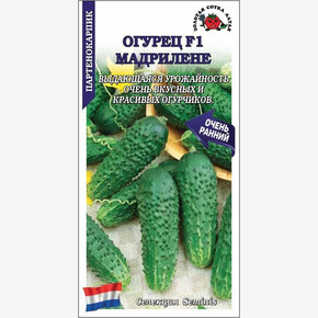 Огурец Мадрилене /Сотка/ 5шт