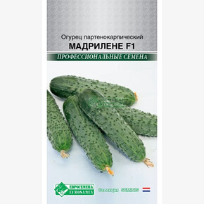 Огурец МАДРИЛЕНЕ 5 шт/ Евросемена