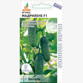 Огурец Мадрилене 5шт/ Агрос