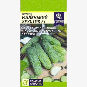 Огурец Маленький Хрустик/Семена Алтая/цп 5 шт