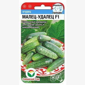Огурец Малец-удалец F1 7шт Сиб сад
