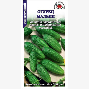 Огурец Малыш /Сотка/ 10 шт