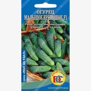 огурец Малышок-Крепышок /5 шт Деметра/