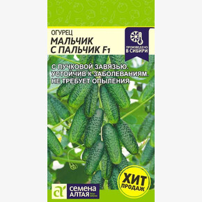 Огурец Мальчик с пальчик F1/Сем Алт/цп 5 шт.