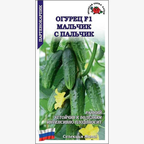 Огурец Мальчик с пальчик/ Сотка
