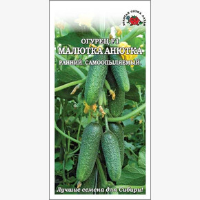 Огурец Малютка Анютка /Сотка/ 10 шт