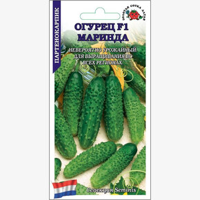 Огурец Маринда /Сотка/ 5 шт