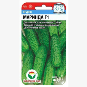 Огурец Маринда F1 5шт Сиб сад