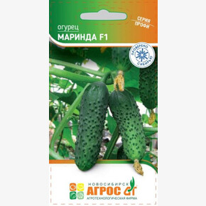 Огурец Маринда F1 8шт* закр Seminis, Соединенные Штаты, ран/ Агрос