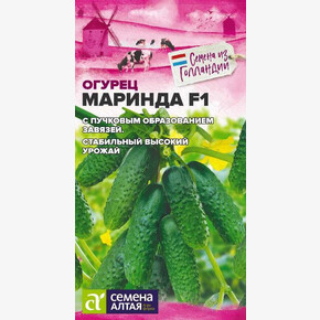 Огурец Маринда/ Семена Алтая 5 шт. Seminis