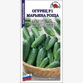 Огурец Марьина Роща/ Сотка