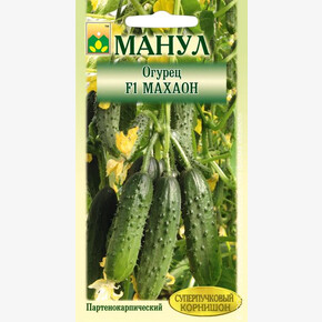 Огурец Махаон/ Манул