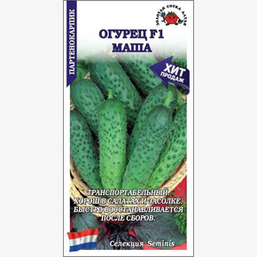 Огурец Маша /Сотка/ 5 шт