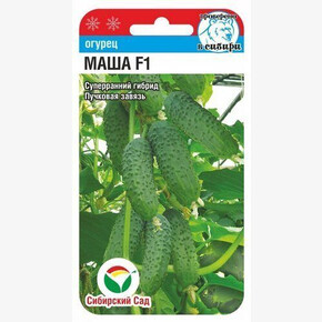 Огурец Маша F1 5шт Сиб Сад