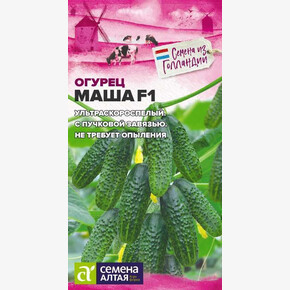 Огурец Маша F1/Сем Алт/цп 5 шт. Seminis Голландские Семена