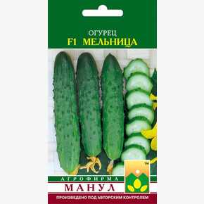 Огурец Мельница (улуч.Зозуля)/ Манул