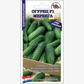 Огурец Меренга /Сотка/ 5шт/ партен. раннесп. 60-70г
