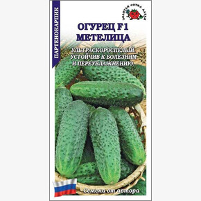 Огурец Метелица/ Сотка