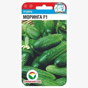 Огурец Моринга 7шт/ Сибсад