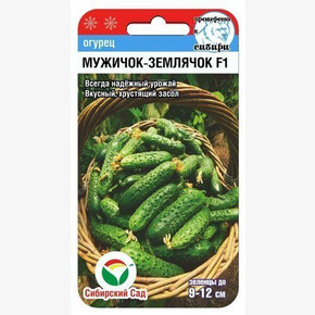 Огурец МУЖИЧОК-ЗЕМЛЯЧОК F1 7шт Сиб Сад