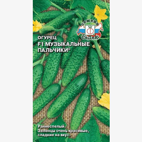 огурец Музыкальные пальчики /Седек