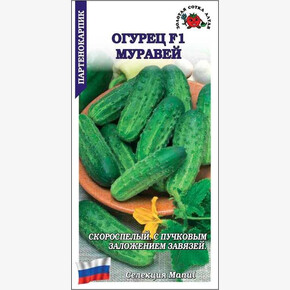 Огурец Муравей F1 /Сотка/ 0,15 г / партен. раннесп. 8-11см/*1500