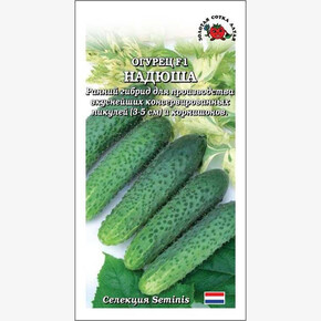 Огурец Надюша /Сотка