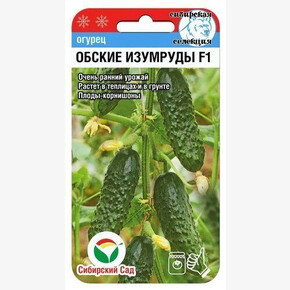 Огурец Обские изумруды F1 7шт Сиб Сад