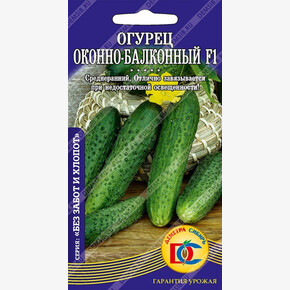 огурец Оконно-Балконный F1 /5 шт Дем Сиб / НОВИНКА!!