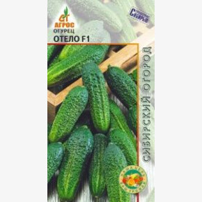 Огурец Отело *F1 10шт откр, Россия, ран/ Агрос