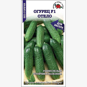 Огурец Отело F1 /Сотка/ 0,3г/ раннесп. 9-10см/*1200