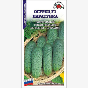 Огурец Паратунка /Сотка