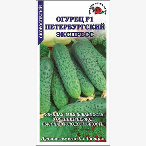 Огурец Петербургский Экспресс /Сотка/