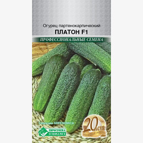 Огурец Платон 5шт/ Евросемена