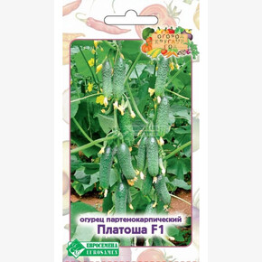 Огурец ПЛАТОША 5 шт/ Евросемена