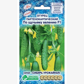 Огурец ПО ЩУЧЬЕМУ ВЕЛЕНИЮ 5 шт/ Евросемена