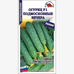 Огурец Подмосковные Вечера/ Сотка