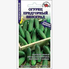 Огурец Предгорный виноград /Сотка/ 0,3г